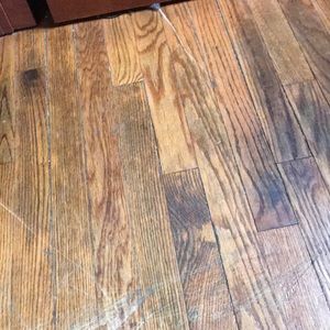 Meet your Posher, Moses